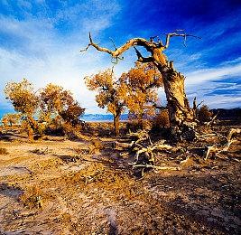 2D卷轴游戏《九魂的久远》发布主题曲预告 5月30日发售