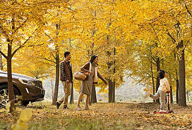 肉鸽回合制RPG《海平线 无尽旅程》现已正式发售